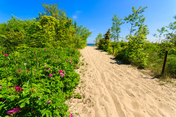 Fototapeta na wymiar Path to sandy beach in Sopot town, Baltic Sea, Poland
