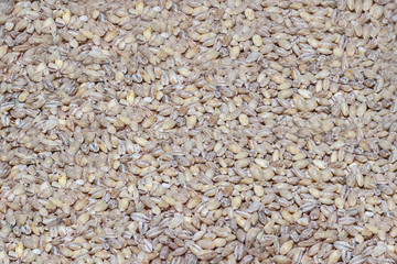 Pearl Barley
