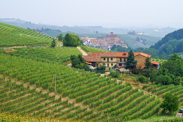 Fototapeta na wymiar Weinberge im Piemont mit Blick auf das Städtchen Barolo