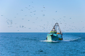 fishing boat returns home after a good catch