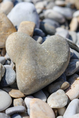 Cuore
