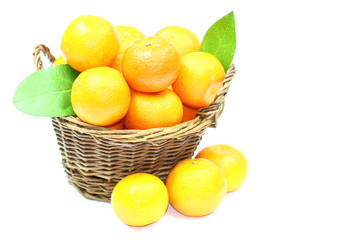 Basket mandarins on white background