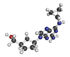 Abacavir (ABC) reverse transcriptase inhibitor drug. 