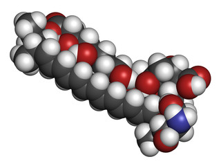 Amphotericin B antifungal drug molecule. 