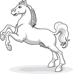 whitw horse - vector, isolated