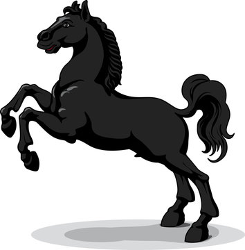 black horse - vector, isolated