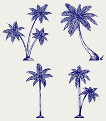 Naklejka premium Silhouette of palm trees. Doodle style