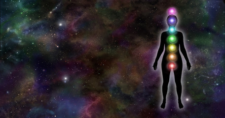 Universal Chakra Silhouette