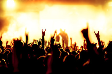 cheering crowd at concert