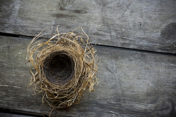 Empty bird nest