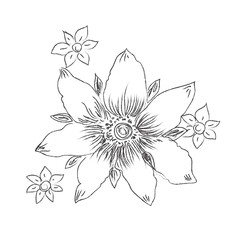 flower, hand, drawings, sketch, decorative, vector, illustration