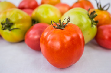 colorful tomatoes