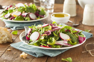 Healthy Homemade Herb Salad