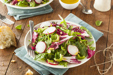 Healthy Homemade Herb Salad