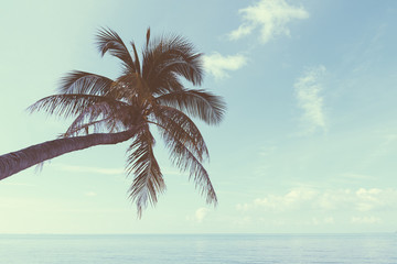 Fototapeta na wymiar Vintage nostalgic stylized palm tree on tropical shore