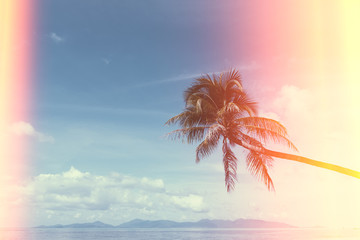 Palm tree on tropical shore, vintage stylized with light leaks