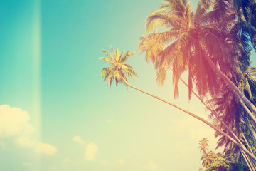Vintage stylized tropical palm trees on the shore