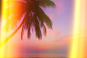 Tropical beach with palm tree at sunset, vintage stylized