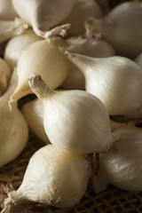 White Organic Pearl Onions