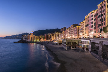 The village of Camogli