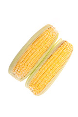 Sweetcorn on white background