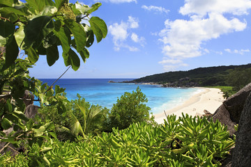 Beach Grande Anse.