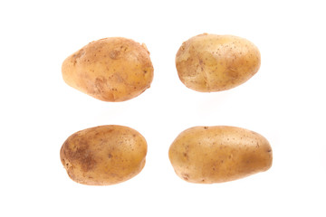 Potatoes on white background