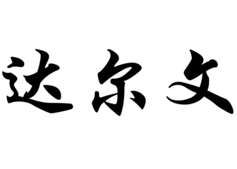 English name Darwin in chinese calligraphy characters