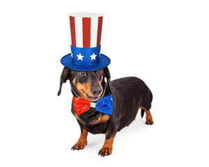 Fourth of July Dachshund Dog