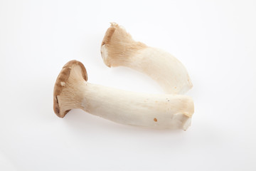 Fototapeta premium Mushroom on white background