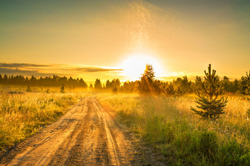 Fototapeta na wymiar summer rural landscape with sunrise and the road