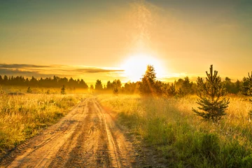 Foto op Aluminium summer rural landscape with sunrise  and the road © yanikap