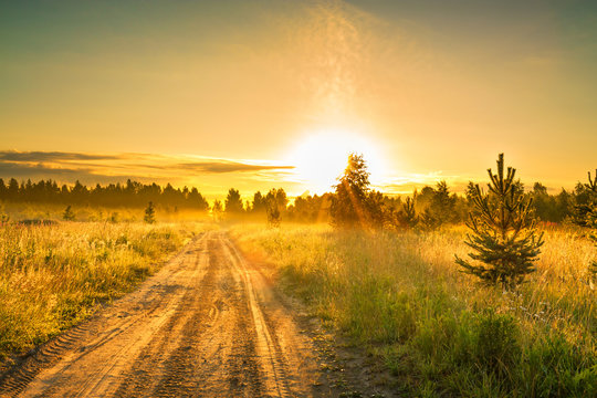 summer rural landscape with sunrise  and the road