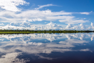 Amazonian Reflection