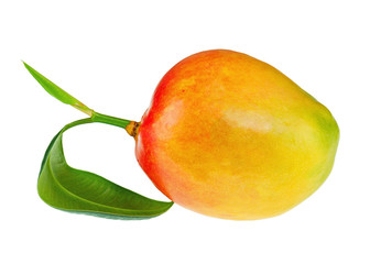 Fresh mango fruit with green leaves isolated on white background