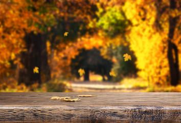 Table with autumn leaves on natural background - obrazy, fototapety, plakaty
