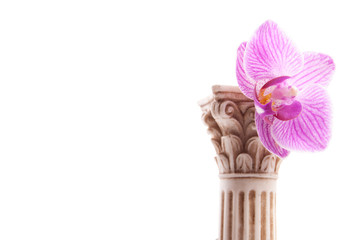 Classical column with flower