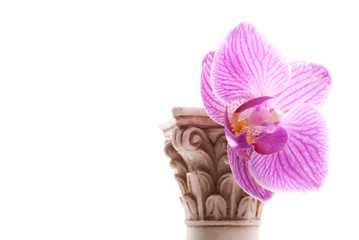 Classical column with flower