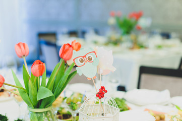 Owls and Tulips