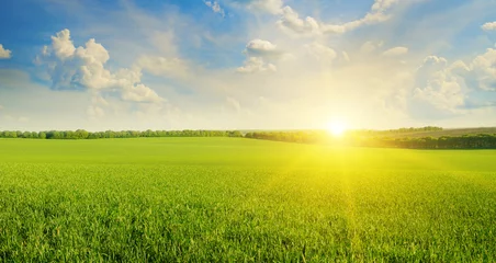 Foto op Plexiglas Ochtendgloren veld, zonsopgang en blauwe lucht