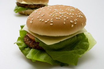 delicious hamburger isolated