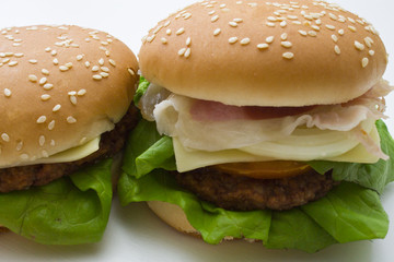 delicious hamburger isolated