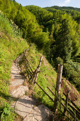 Chinese mountains and stone pathway