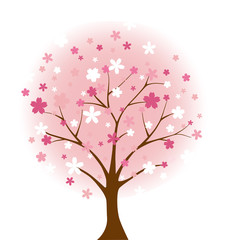 桜、春、木、sakura tree