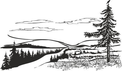Northern landscape with crow.
