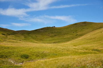 Fototapeta na wymiar Alpage en herbe.