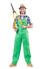 Male gardener isolated on white