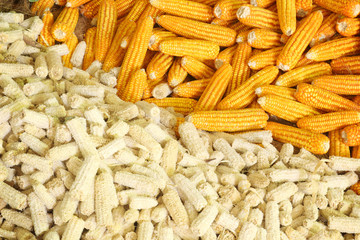 Dried corn background