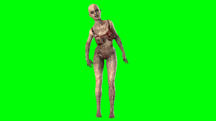 Walking dead zombie woman isolated on green screen