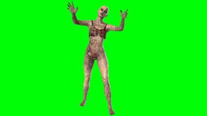 Walking dead zombie woman isolated on green screen